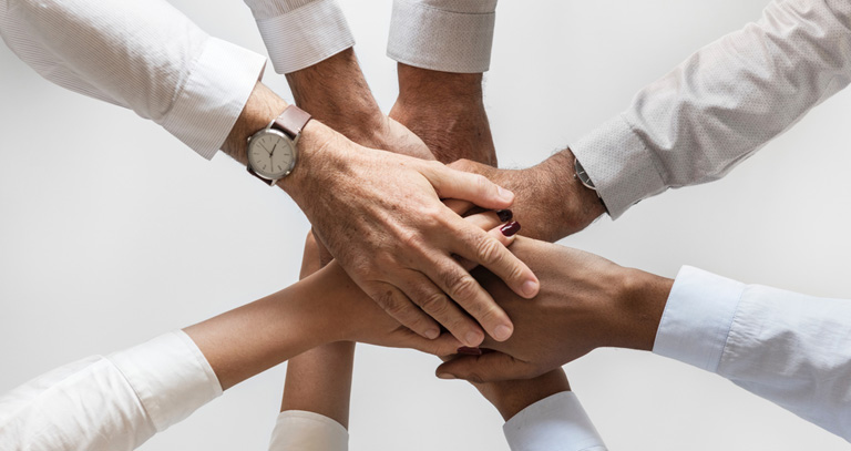 We would like to establish partnerships with the following types of companies or individuals