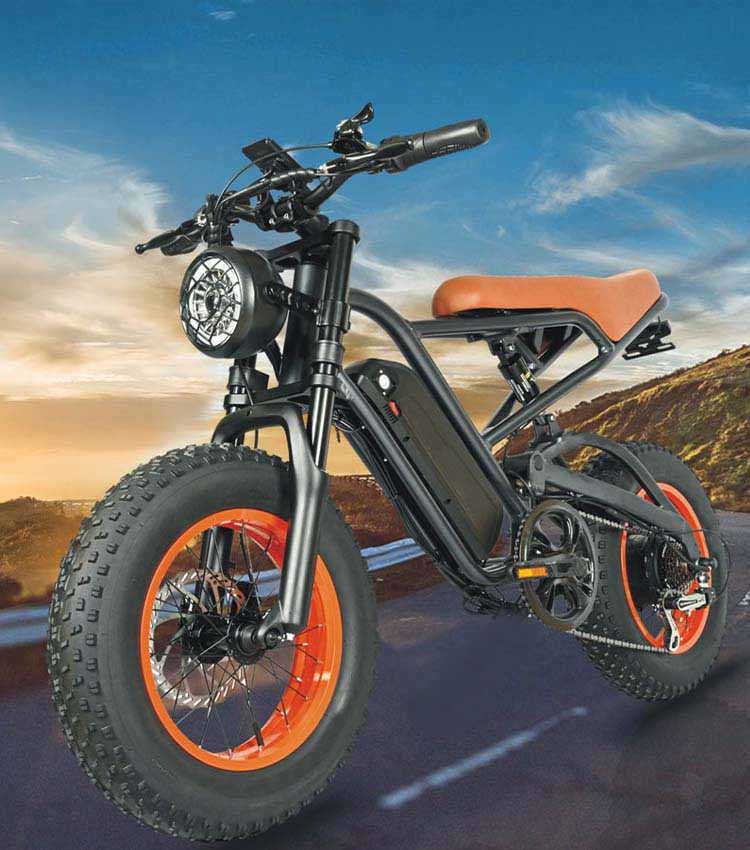 ELECTRIC BICYCLE
