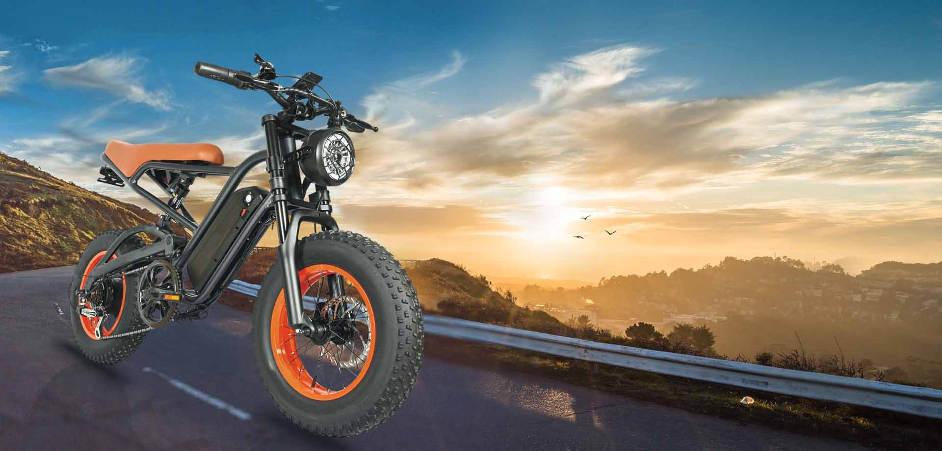ELECTRIC BICYCLE